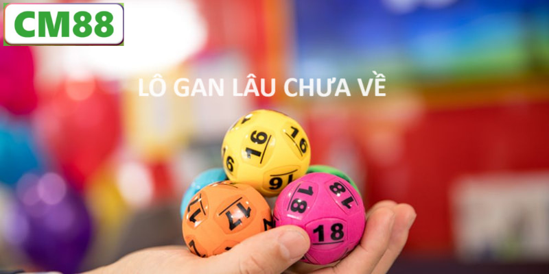 Sử dụng phần mềm dò lô gan tự động